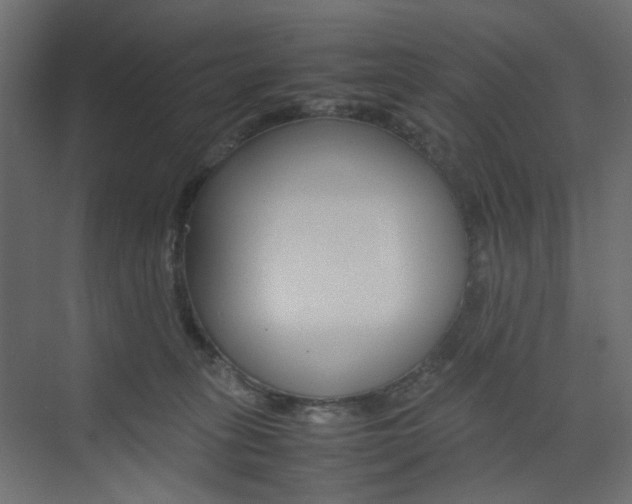 X0000074230275200608250824