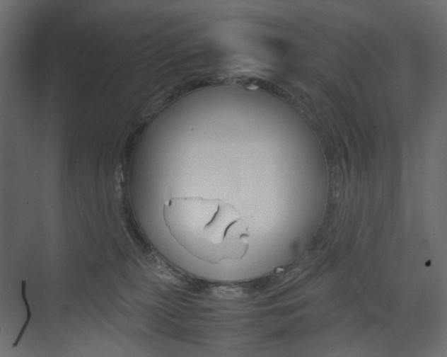 X0000074230279200608250824