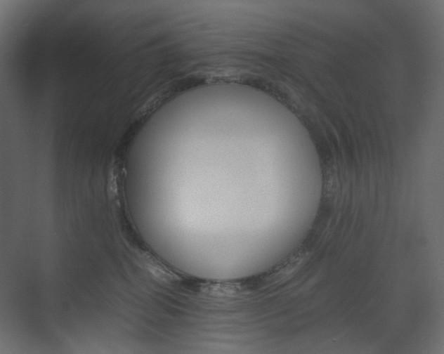 X0000074230282200608250824