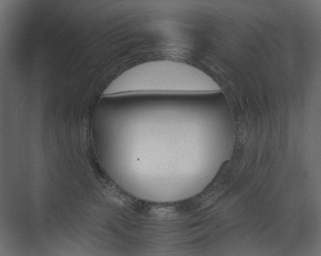 X0000074230283200608250824