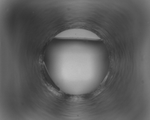 X0000074230284200608250824