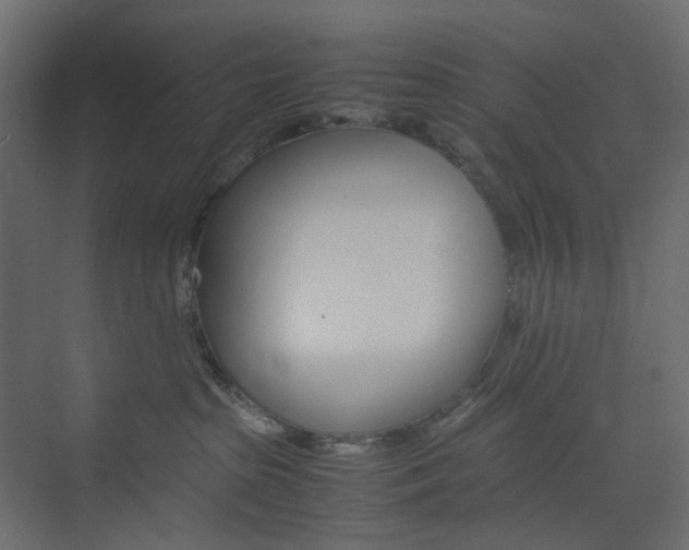 X0000074230285200608250824