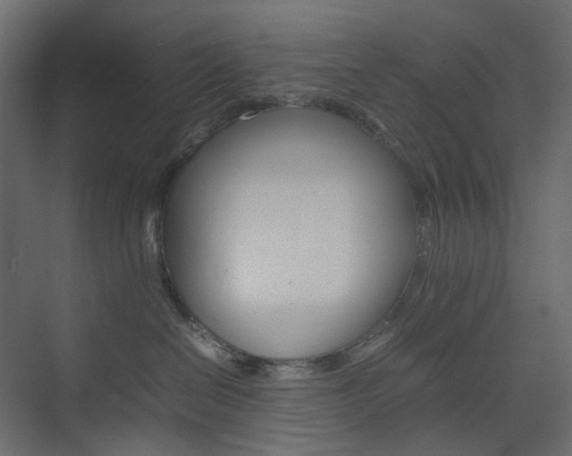X0000074230286200608250824