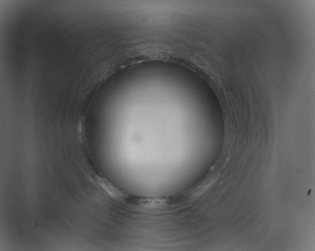 X0000074230288200608250824