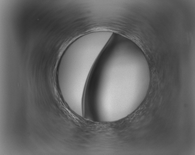 X0000074230289200608250823