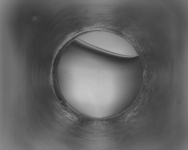 X0000074230292200608250823