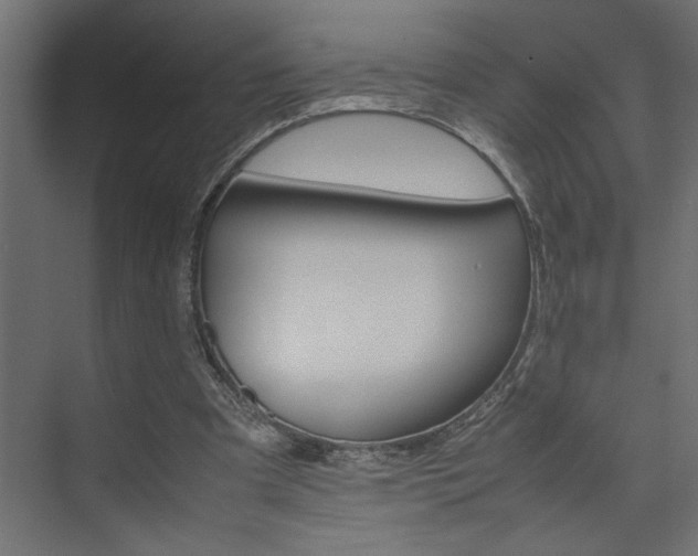 X0000074230297200608250823
