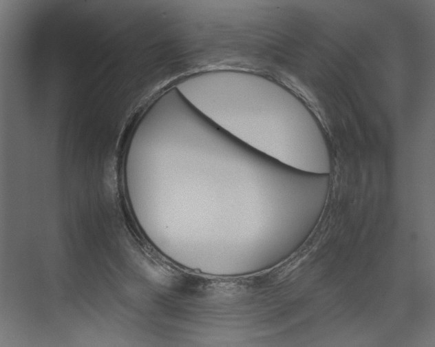 X0000074230298200608250823
