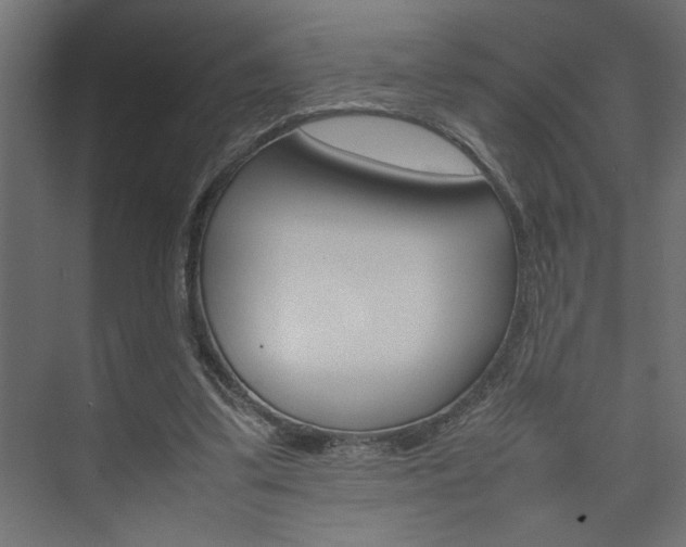 X0000074230299200608250823