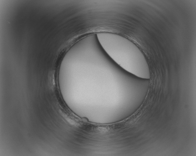 X0000074230302200608250823