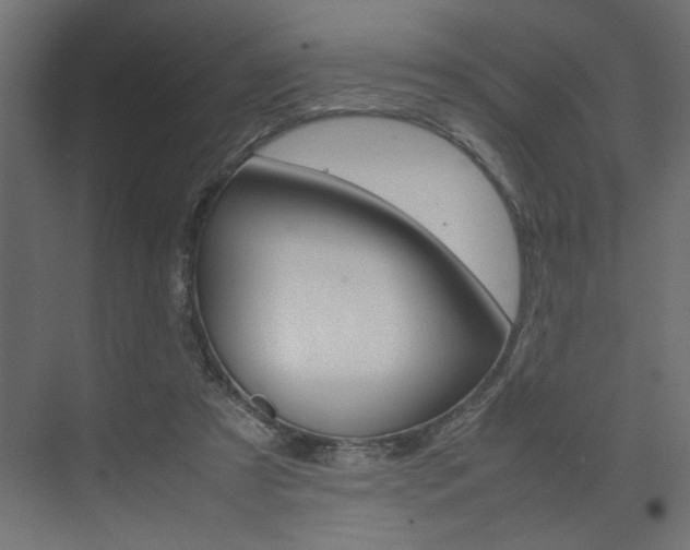 X0000074230305200608250823