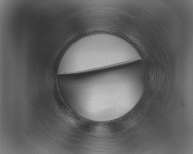 X0000074230308200608250823