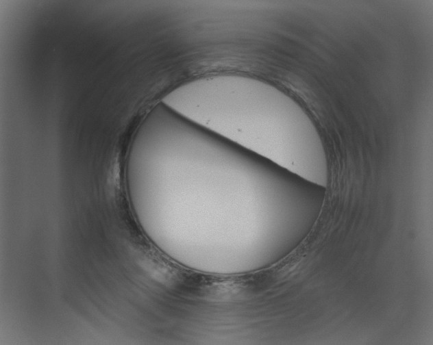 X0000074230310200608250823