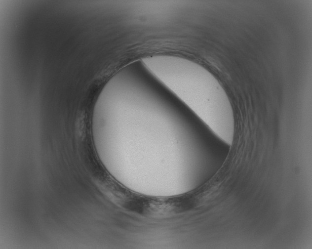 X0000074230311200608250823