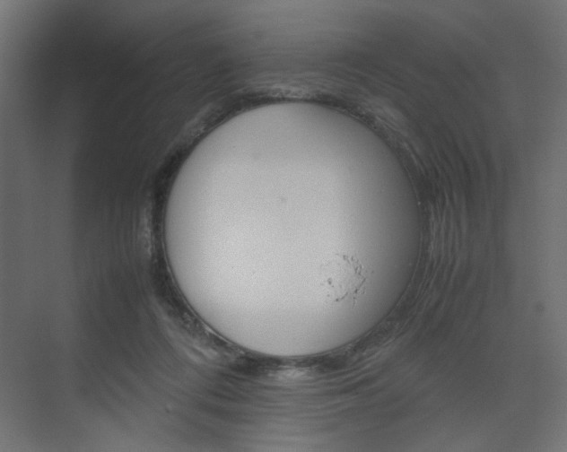 X0000074230312200608250823