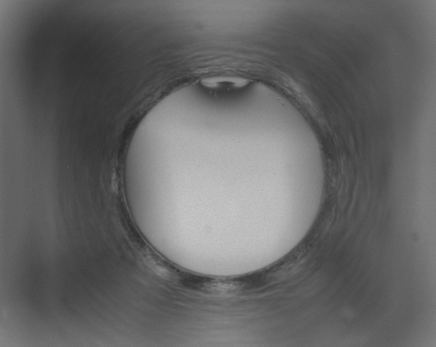 X0000074230313200608250823