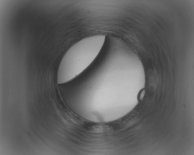 X0000074230316200608250823