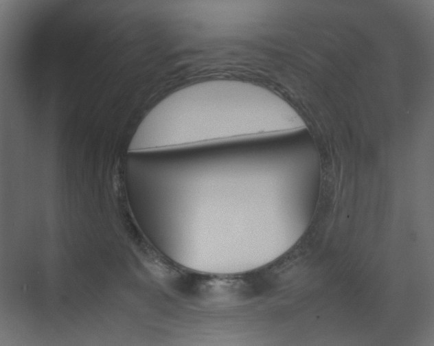 X0000074230323200608250823