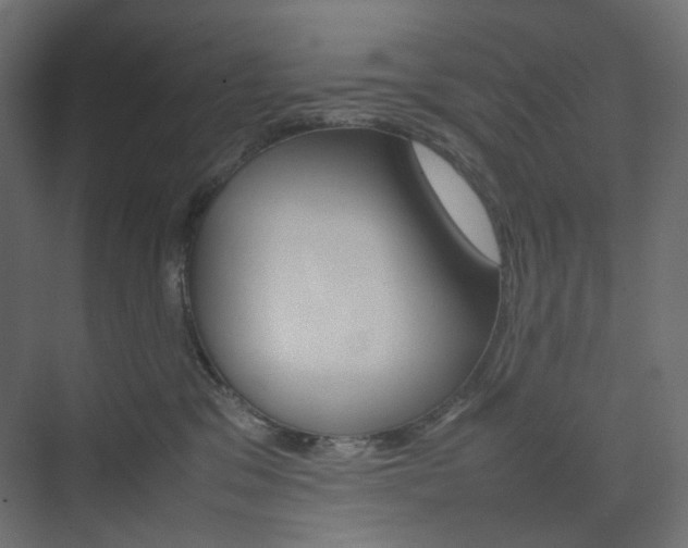 X0000074230329200608250823
