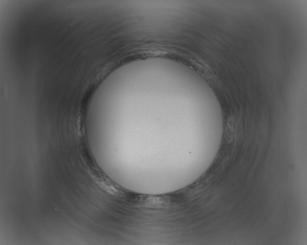 X0000074230330200608250823