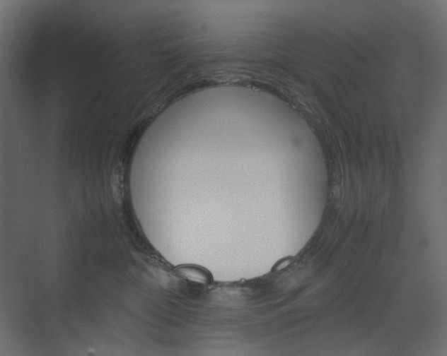 X0000074230332200608250823
