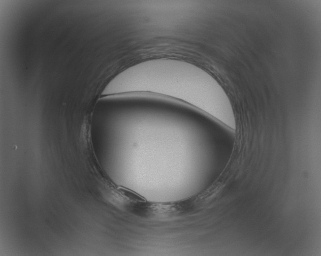 X0000074230333200608250823