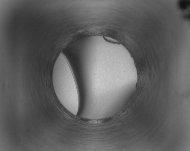 X0000074230335200608250823