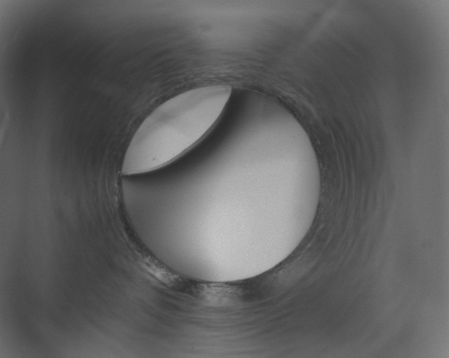 X0000074230336200608250823