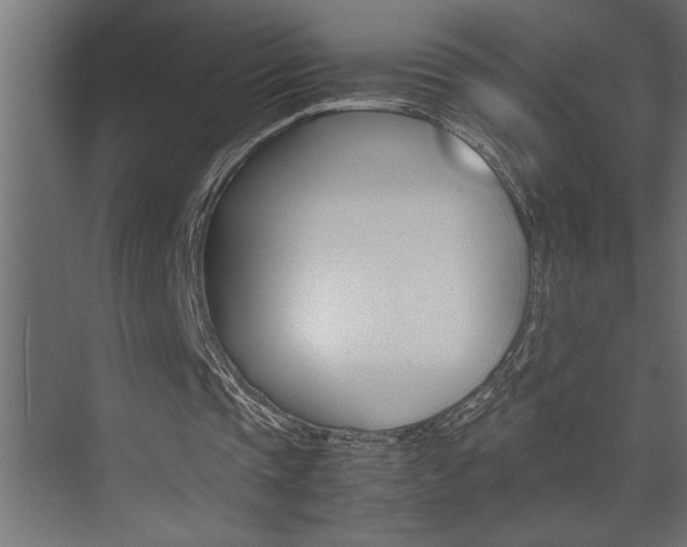 X0000074230337200608250822