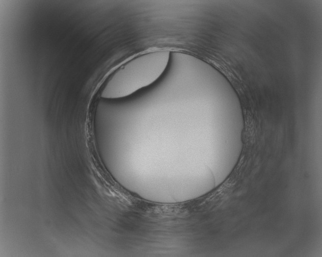 X0000074230338200608250822