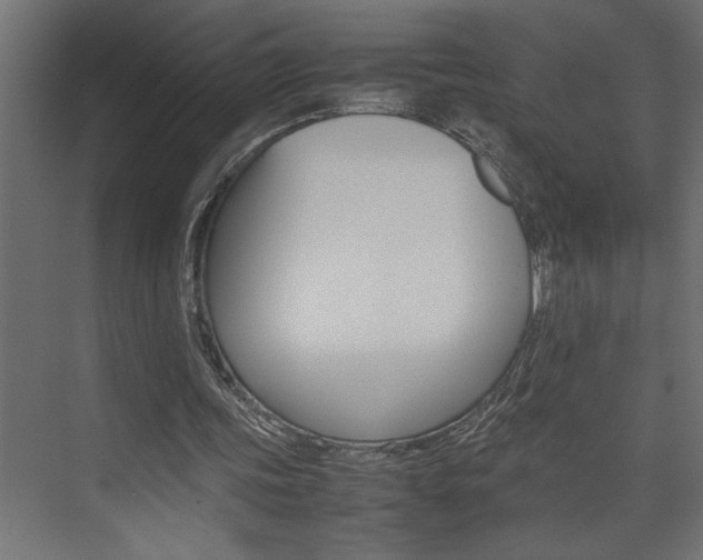 X0000074230339200608250822