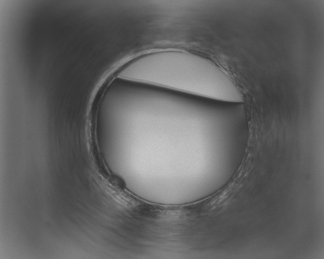X0000074230342200608250822
