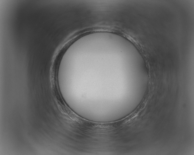 X0000074230343200608250822