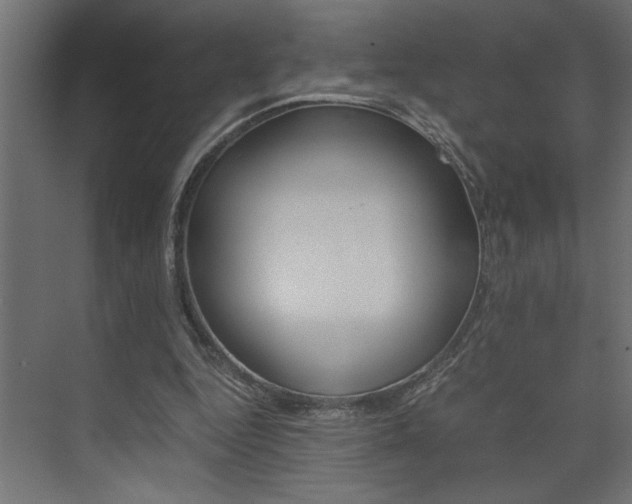 X0000074230344200608250822