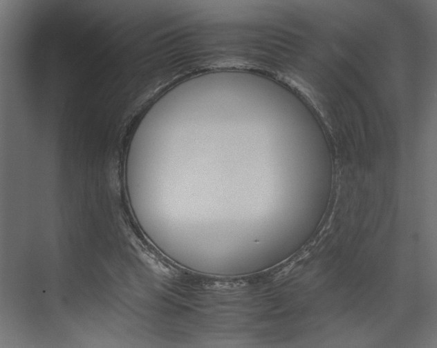 X0000074230345200608250822