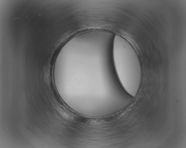 X0000074230346200608250822