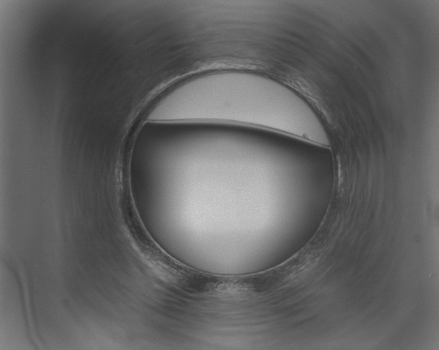 X0000074230348200608250822