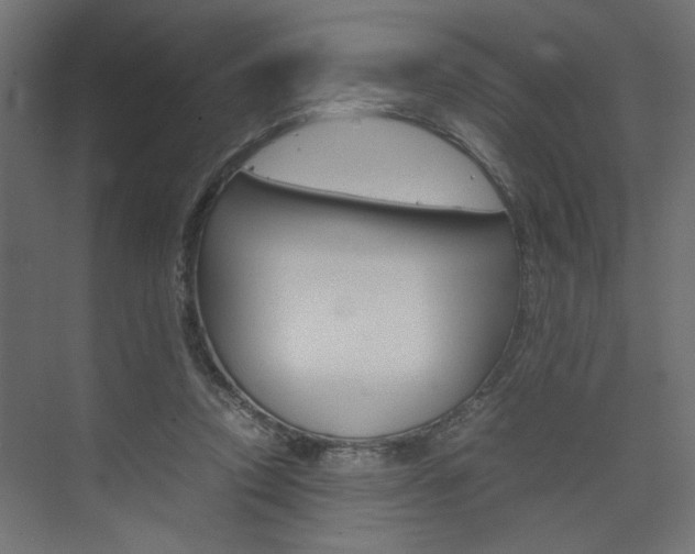X0000074230354200608250822