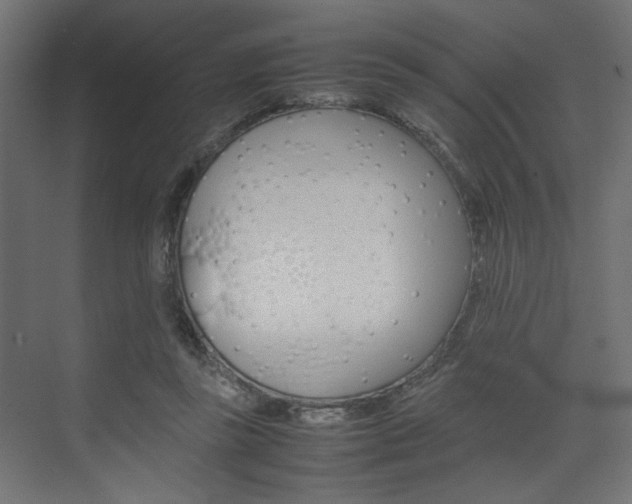 X0000074230355200608250822