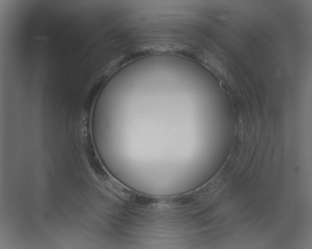 X0000074230356200608250822