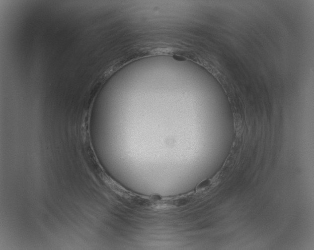 X0000074230360200608250822