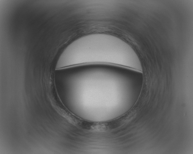 X0000074230362200608250822