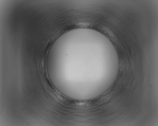 X0000074230365200608250822