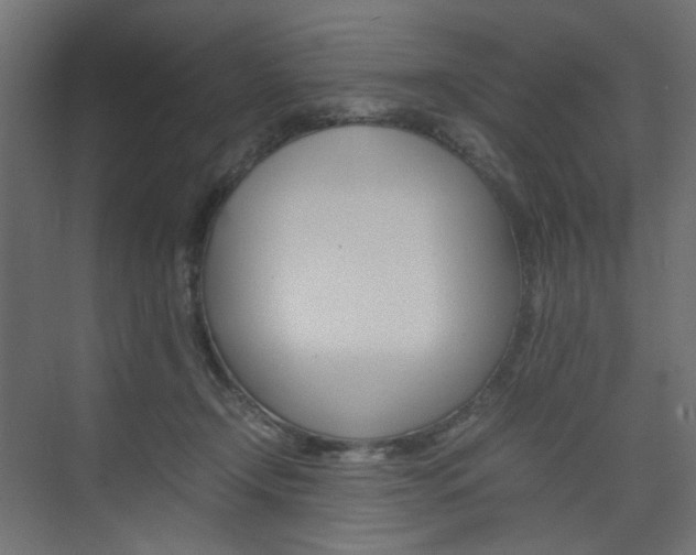 X0000074230366200608250822