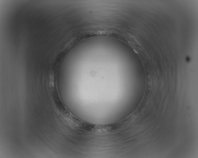 X0000074230368200608250822