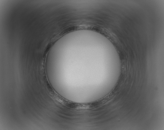 X0000074230369200608250822