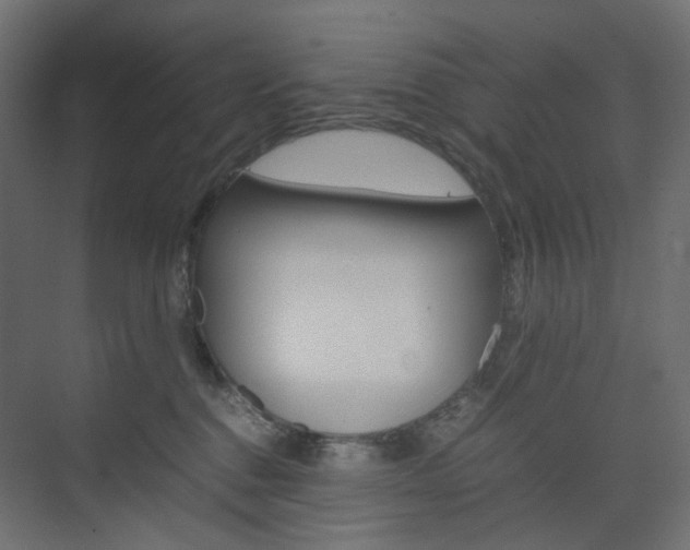 X0000074230376200608250822