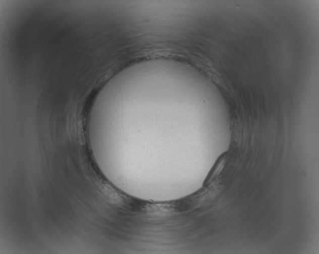 X0000074230378200608250822