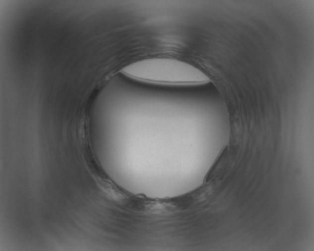 X0000074230379200608250822