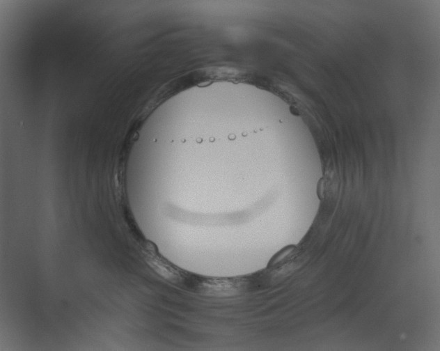 X0000074230381200608250822